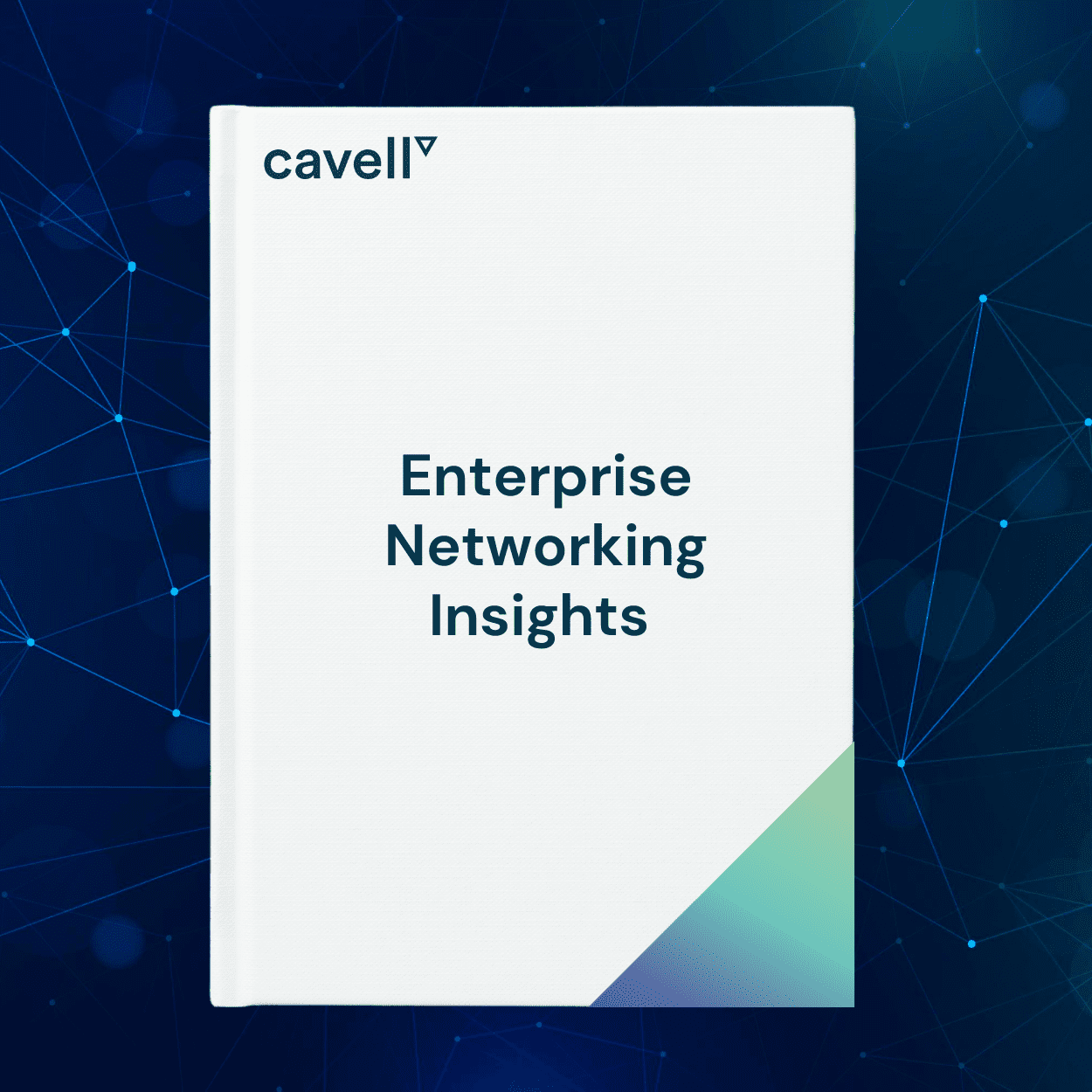 Enterprise Networking Insights