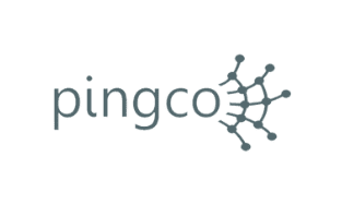 Pingco Logo